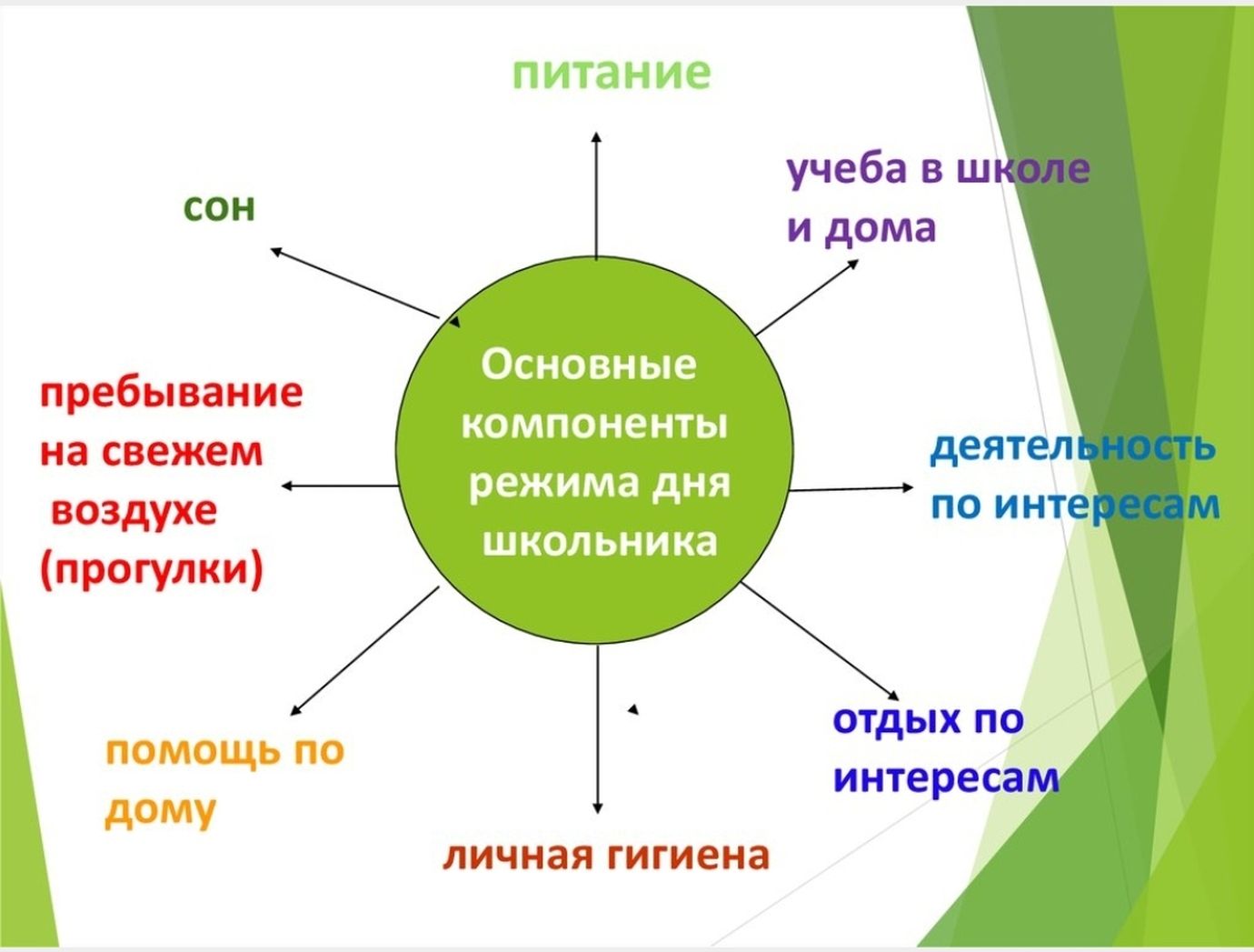 Проект формула здоровья