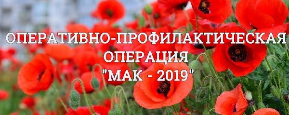 мак 2019