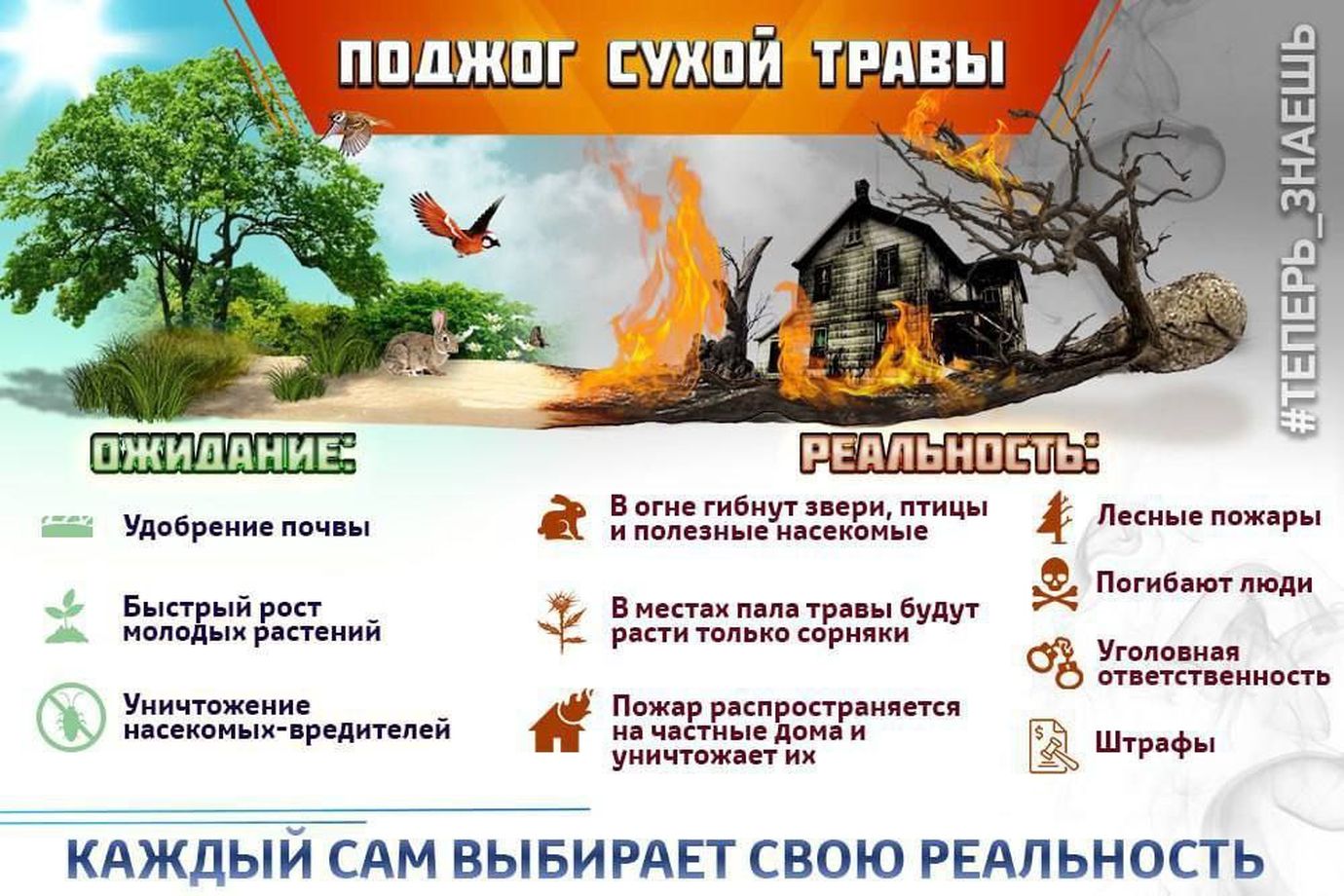 памятка сухая трава 1