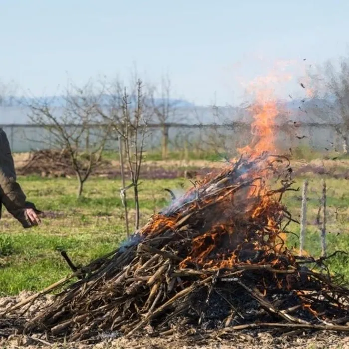 УВАЖАЕМЫЕ ЖИТЕЛИ РОГОВСКОГО СЕЛЬСКОГО ПОСЕЛЕНИЯ!