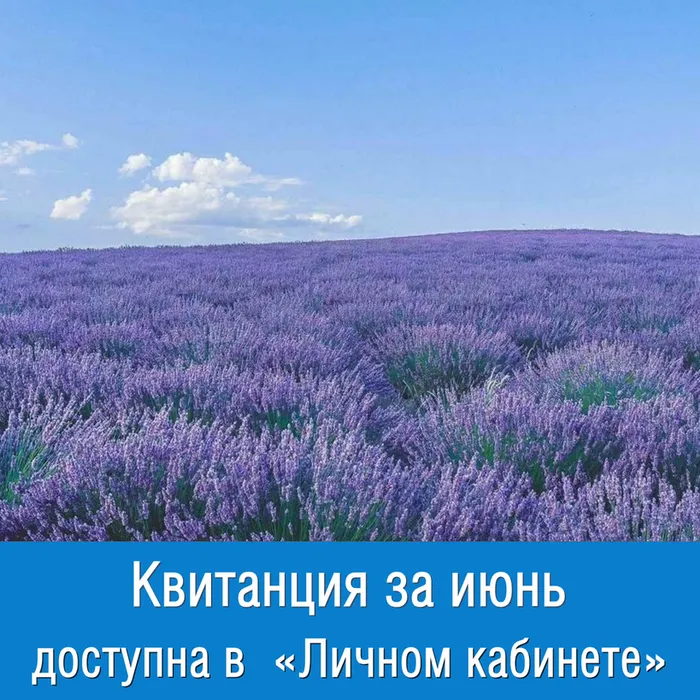 Квитанция за июнь