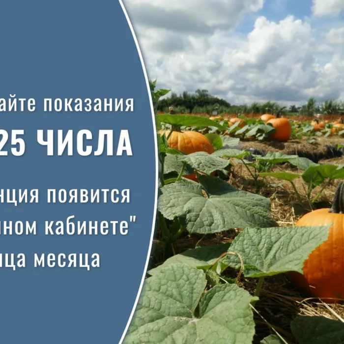 Уважаемые абоненты!