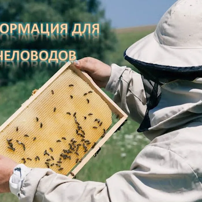 Информация для пчеловодов