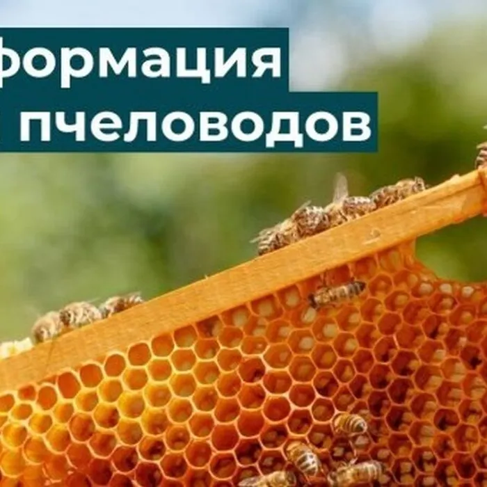 Информация для пчеловодов