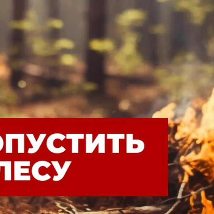 Лесные пожары — это одно из наиболее опасных стихийных бедствий.
