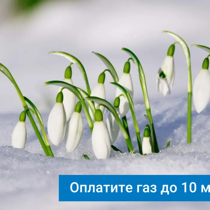 Напоминаем о сроках оплаты газа, потребленного в феврале