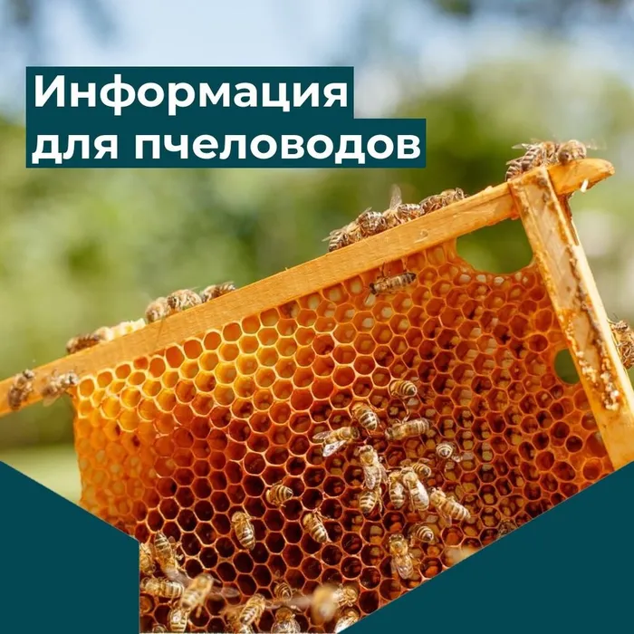 Проведение работ по обработке полей средствами защиты растений